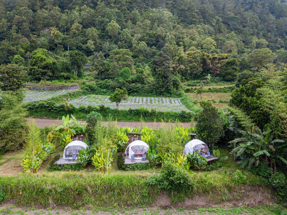 Hotel Cloud Hills Glamping Kintamani Zewnętrze zdjęcie
