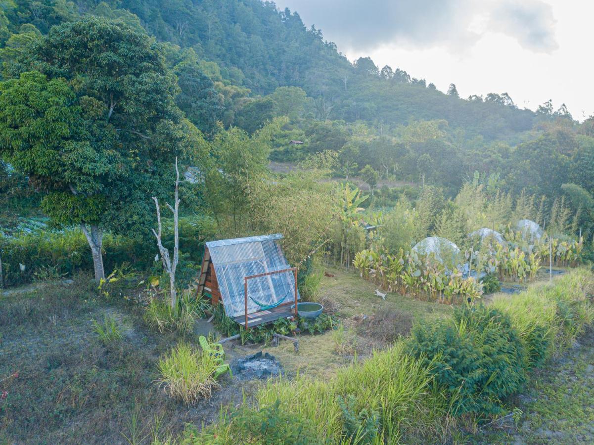 Hotel Cloud Hills Glamping Kintamani Zewnętrze zdjęcie